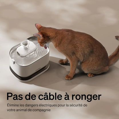 PETLIBRO Sans Fil 2,5 L – Fontaine à eau pour chat