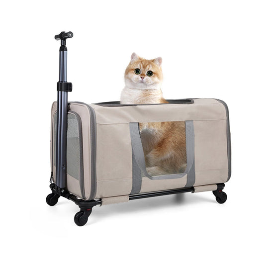 Chariot de transport premium pour chats